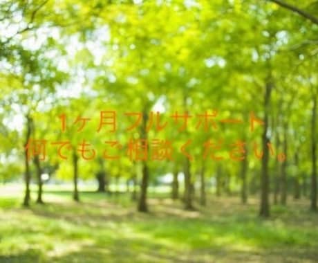 新卒学生向けに就活を1ヶ月全面サポートします 外資日系志望大歓迎。新卒内定多数の筆者が就活全面サポート イメージ1