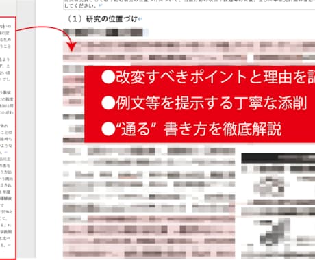学振ホルダーが学振や研究奨学金の申請書を添削します 【学振DC、PDの採用実績】添削後の採用実績あり！ イメージ2