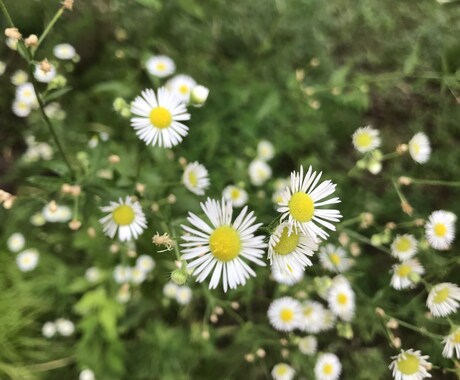 モヤモヤしている気持ちをふんわり受け止めます ちょっとだけ一息つきませんか？ イメージ1
