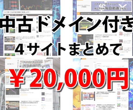 中古ドメイン付きで４サイトをまとめて売ります 稼ぎやすいと言われる投資系サイトを4サイト提供します。 イメージ1