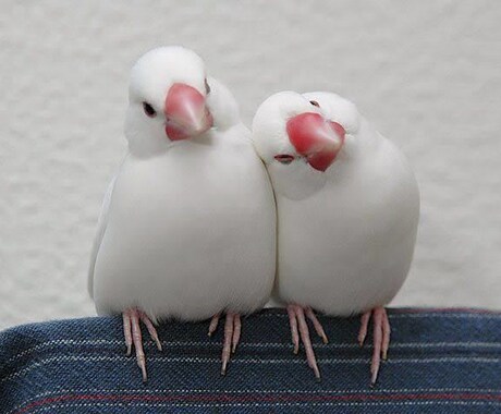 まとまらない気持ち、ただ聞きます 誰にも言えない話、静かに聞きます。 イメージ1