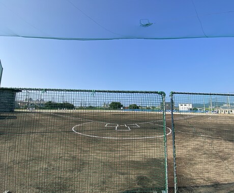 野球専門の技術指導やトレーニング指導をします 野球理学療法士の指導で心·技·体のスキルアップをしませんか？ イメージ1