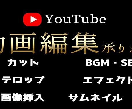 youtube等のテロップ入れおこないます イメージ1