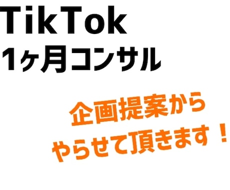 TikTokで成功するためのコンサル&企画をします 【1ヶ月あなたに合った企画提案から運用までサポートします！】 イメージ1