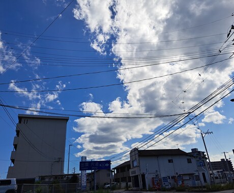 ペットを亡くして行き場のない心癒します ペットを亡くし心に空いた穴、ゆっくり塞いでいきませんか? イメージ2