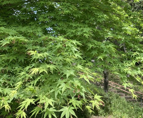 あなたの悩み傾聴いたします どんな些細なことでも構いません イメージ1