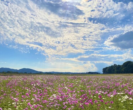 恋愛の悩み、文章でやさしく聞きます 誰にも言えない気持ち、否定せずに受け止めます。 イメージ2