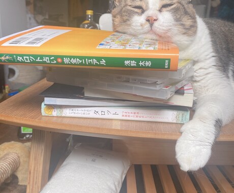 タロットと感性であなたをサポートしていきます 気軽に話せる相手とし、占っていきます イメージ1