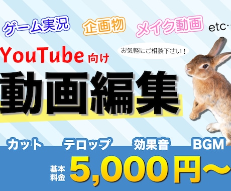 YouTubeの動画編集承ります イメージやジャンルに合わせて素早くご対応いたします！ イメージ1