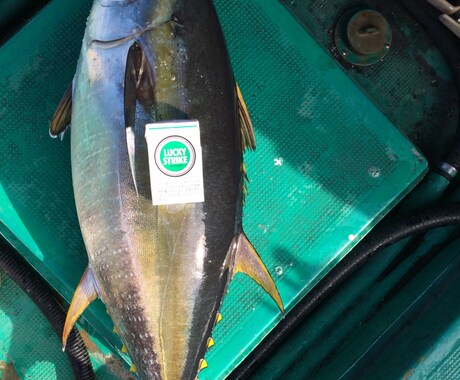 実績あり！釣り針の結び方、趣味漁師が直伝します 漁師の世界は企業秘密。だからこそ価値がある。 イメージ2