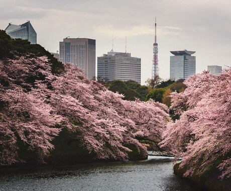 最短1日！曇り空も晴れ空に！！画像編集受け承ります 画像の切り抜き、合成などを最短翌日までに完成させます！ イメージ2