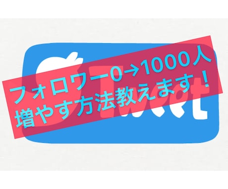 Twitterのフォロワー0→1000人増やします Twitterのフォロワー0→1000人へ増やす方法教えます イメージ1