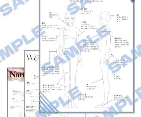 アドバイザー用◇骨格診断◇説明資料を販売します 初心者さんでもすぐ始められる！ユーザーフレンドリーな仕上がり イメージ2