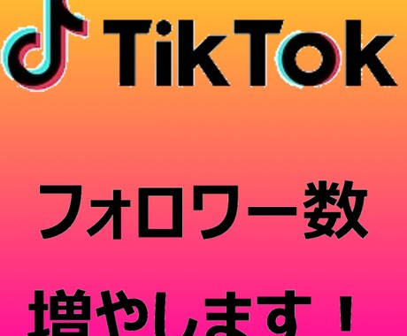 Tik Tokフォロワーさん増やします 高品質★tiktokフォロワー+1000人～★減少ほぼなし！ イメージ1