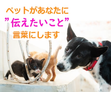 あなたの愛するペットさんの気持ちをお伝えします 最愛のペットさんの気持ちと絆を深めるアドバイスをお届けします イメージ1