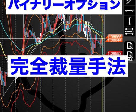 バイナリーオプション完全裁量教えます 完全裁量の手法をお伝えいたします。 イメージ1