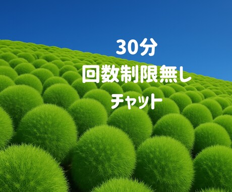 30分 回数無制限チャット♪ お気持ち受け止めます 雑談、いろんな悩み、オールOKです。私に聞かせてください。 イメージ1