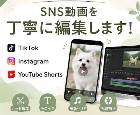 SNSショート動画を編集します SNS動画を丁寧・迅速に編集します イメージ1