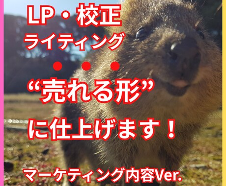 整理商品購入者｜LP・文章・ブランディングします LP構成・文章作成・各ライティング・校正を内容別に対応。 イメージ1