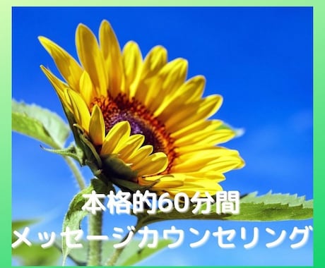 60分間話したい人、心理士がじっくり話を聴きます 20分のメッセージカウンセリングでは物足りない人、集まれ！！ イメージ1