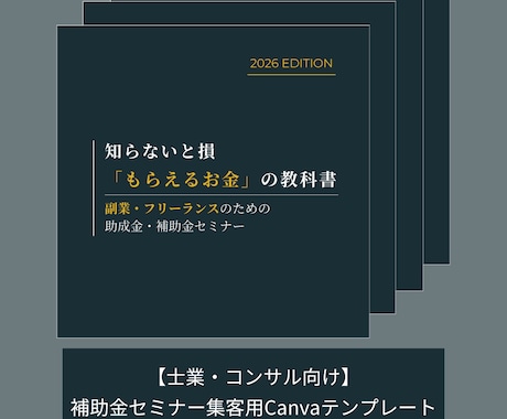 補助金セミナー集客用テンプレ11枚｜編集できます 【士業・コンサル向け】Canva｜インスタ集客 イメージ1