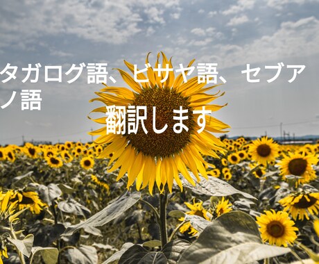 日本語⇔タガログ語orビサヤ語セブアノ語翻訳します イメージ1