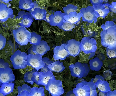 あなたの辛い事を一緒に考えます 虐待やまるで奴隷のような生活の中生きてきましたので経験豊富 イメージ1