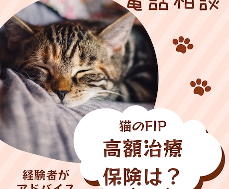 FIP闘病経験あり猫飼育アドバイザーが相談乗ります 保護猫のFIP治療費120万超。闘病のリアルと保険の悩み相談 イメージ1