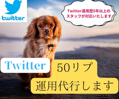 twitterで毎日30リプライを運用代行します リプライをアクティブユーザーに向け"手作業"でお送りします イメージ1