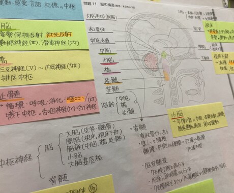 元国立大生の看護師国家試験対策ノートを送ります 150ページ越えの看護師国家試験対策ノート！ イメージ2