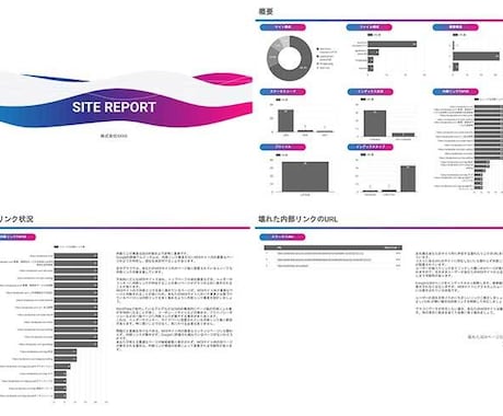 WEBサイトを診断、問題点をレポートでご提供します SEOに必須の内部対策調査を代行、業務を削減！ イメージ1