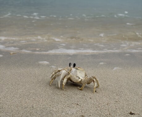 今抱えている悩み、どうするかまでの相談にのります どんな悩みでも相談にのります。 イメージ1