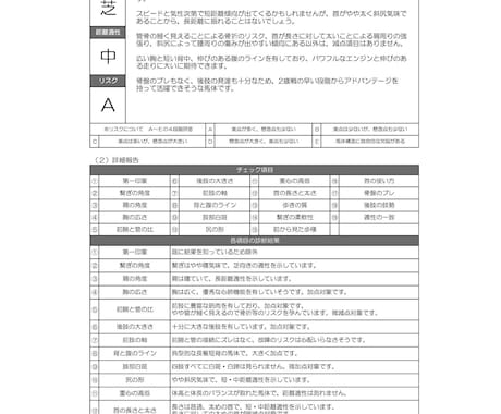 馬体診断・あなたの出資馬選びをお手伝いします イメージ1