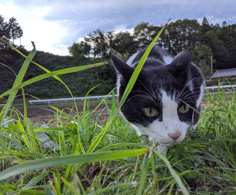 心の健康を保つコツを伝授します 自らの心を病んだ体験から、危うい思考や行動などをシェアします イメージ1