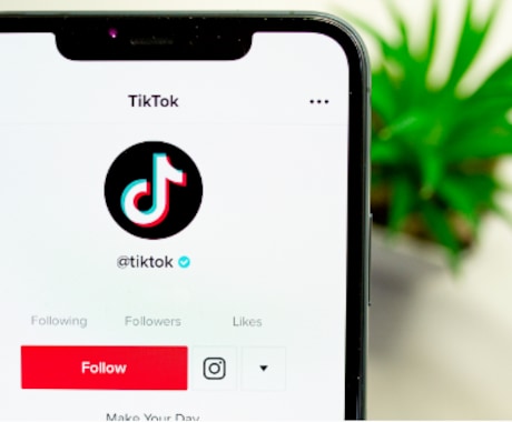 現役SNS講師のプロが運用代行いたします SNS運用(Instagram、TikTokなど)できます イメージ2