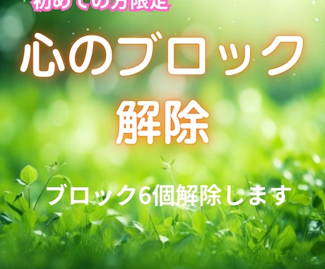 初回限り!　心のブロックを６つ解除します 初めての方限定　心のブロックを6つ解除します イメージ1