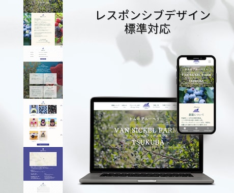 オリジナルデザインで本格的なHP・LP作ります 英語ページにも対応でグローバル化！（オプション） イメージ2