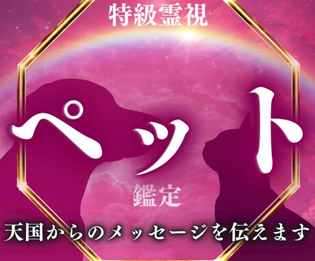 ペットの気持ちを霊視 天国からの言葉をお伝えします 突然の家族とのさよならに心がつぶされそうになっていませんか イメージ1
