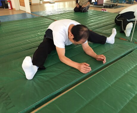 あなたを開脚ストレッチ可能へ導きます プロトレーナーがあなただけのプログラムを作成します イメージ1