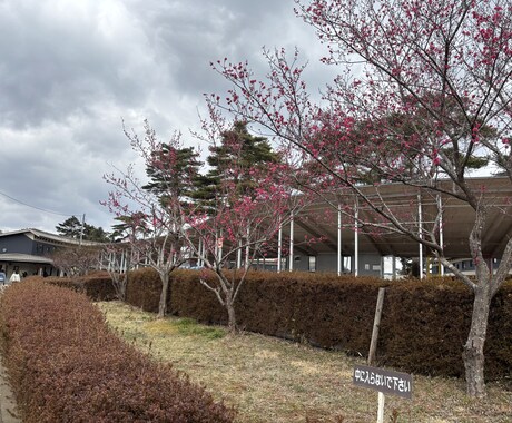 介護相談承ります 介護についての相談、愚痴を聞きます。 イメージ1