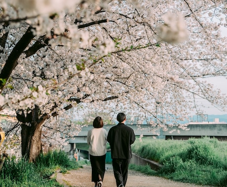 出張撮影！福井県でご希望の場所で写真撮影します 写真撮影希望な方、福井どこでも出張撮影します！ イメージ2