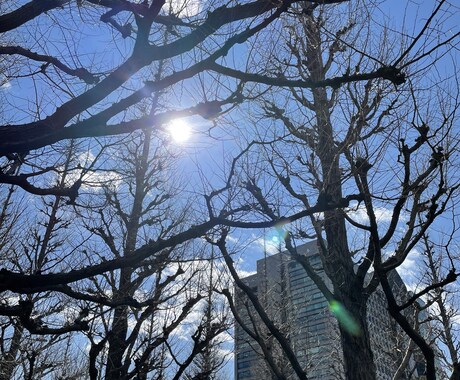 介護のお困りことを解決します 認知症介護をやり続けてきた介護福祉士が相談にのります イメージ1