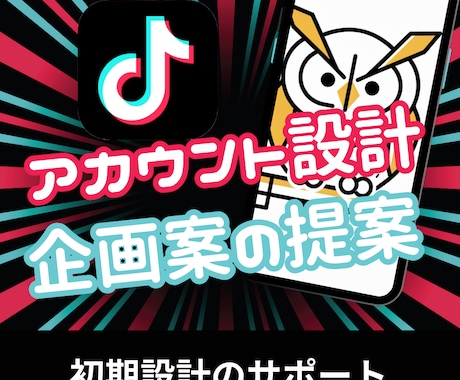 TikTokのコンセプト設計と動画企画を提案します プロの運用代行者がTikTok運用をサポートします。 イメージ1