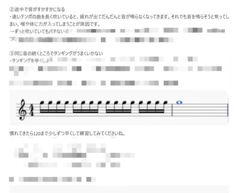 東京藝大卒の音楽家が【オンラインレッスン】行います 初心者〜上級者まで、レベルに合わせたレッスンを提供致します イメージ1