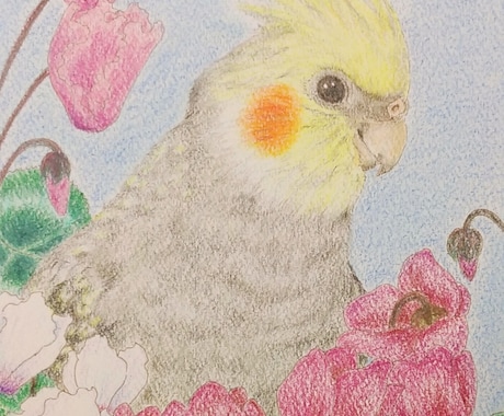 主に、動物とお花のイラストを色鉛筆で描いています ご自身用・贈り物などにどうぞ♪ふんわりしたタッチで描きます。 イメージ1