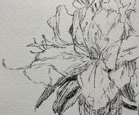 お気に入りアイテムをあなただけの一点物にします あたたかくやわらかい線でボールペンスケッチします。 イメージ1