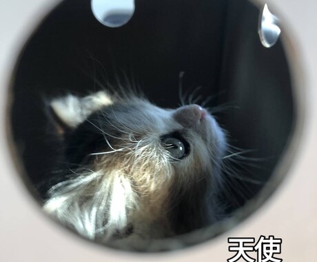 心におもっていることをひたすらきいてます 電話占いが高くて話し足りない人今が悩んできる人 イメージ1