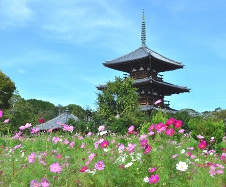終わった旅、これからの旅の話聞きます 旅行経験豊富!旅の話で盛り上がりましょう! イメージ2