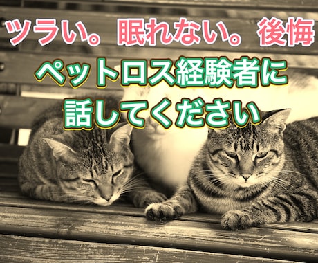 ペットロスに向き合い乗り越えるためのサポートします 経験者だからできる共感と癒しで、思い出を生きる力に変える イメージ1