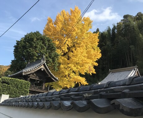 不安について優しくお話します 不安、皆ありますよね、一緒に不安をゆっくり整理しましょう イメージ1